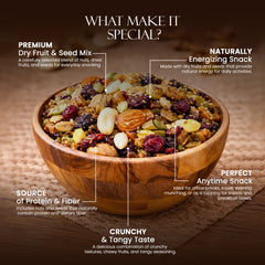 Tangy Masala Dry Fruit Mix